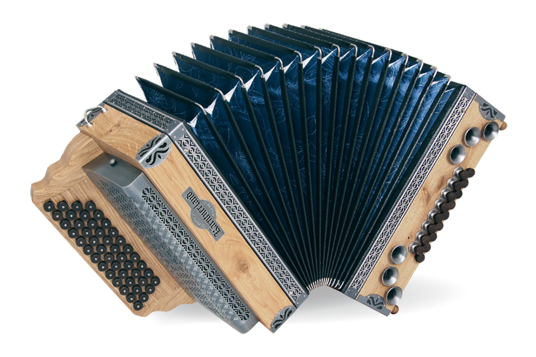 harmonika gold koenigseiche
