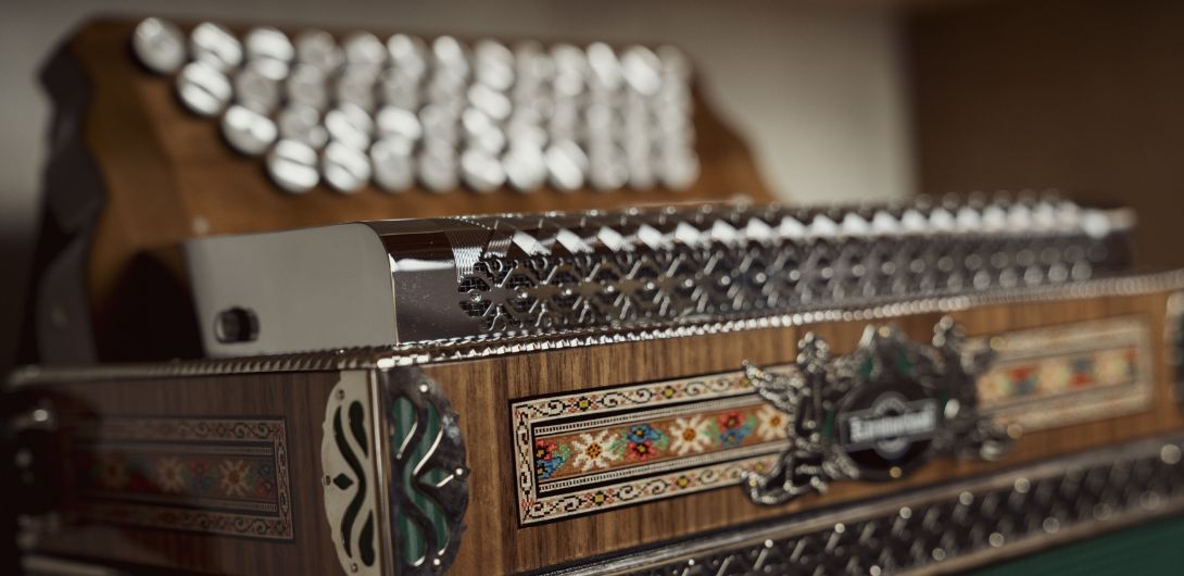 harmmonika detail bronze detail