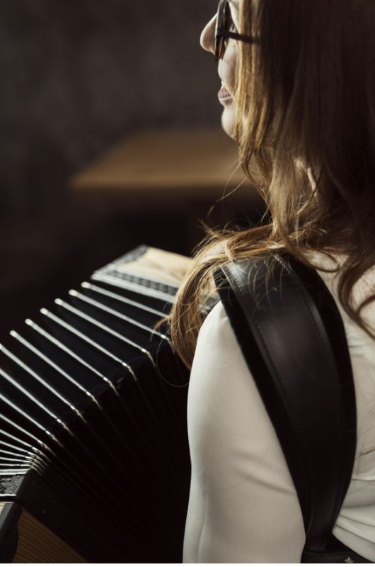 harmmonika detail gold beschlaege