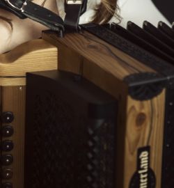 harmmonika detail gold detail