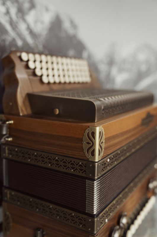 harmmonika detail gold optik