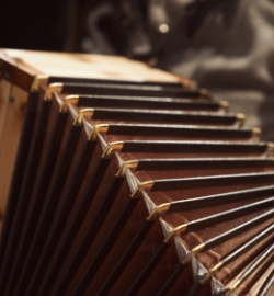 harmmonika detail platin detail