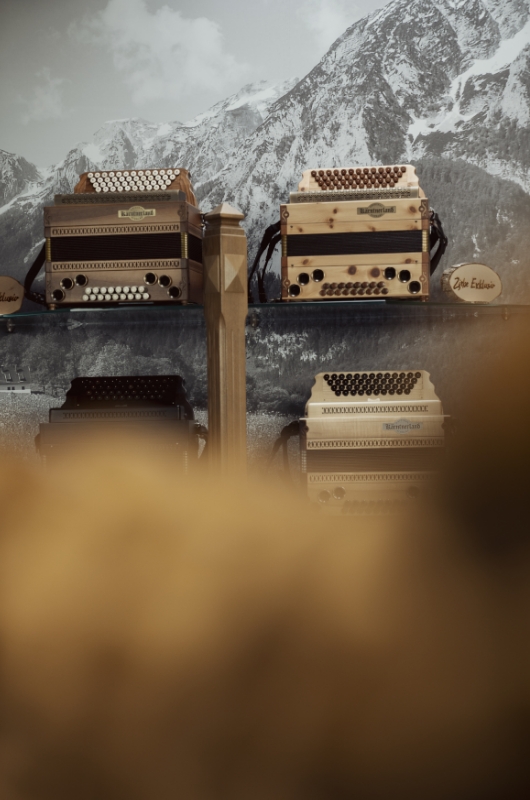 harmmonika detail platin klanghoelzer