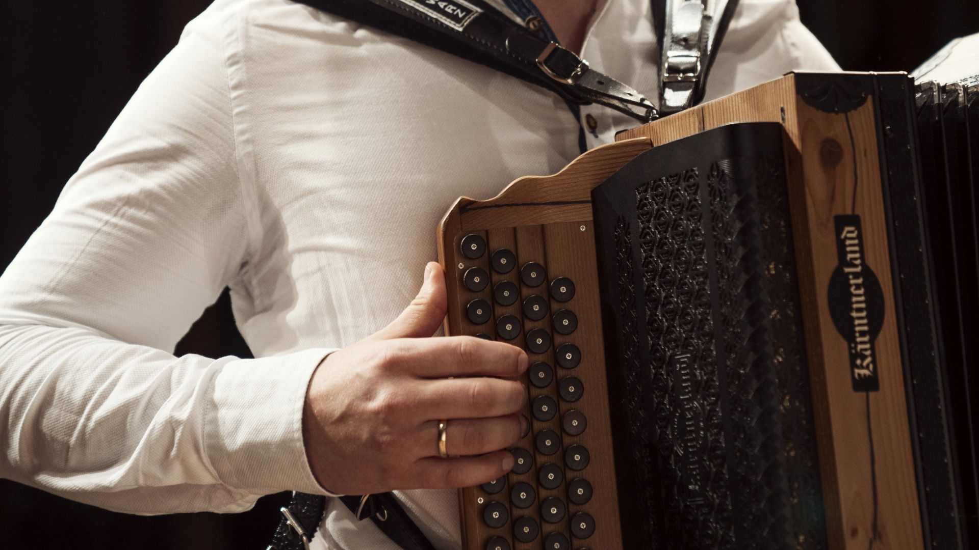 harmmonika uebersicht galerie