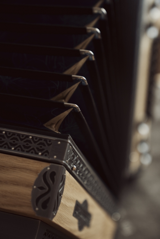 harmonika detail