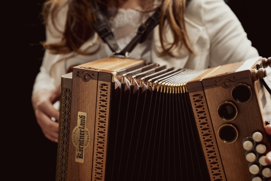 harmonika spielen