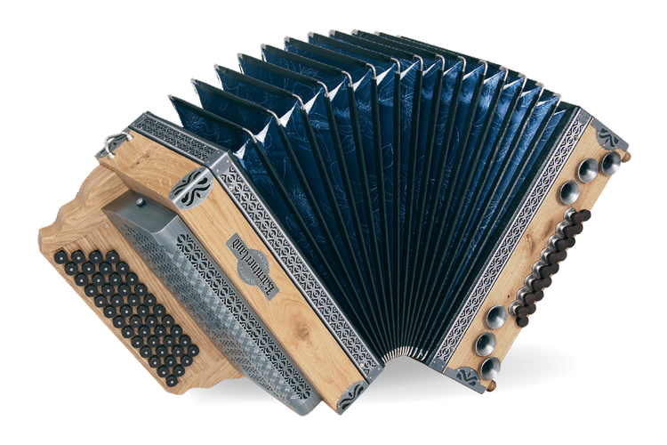 harmonika gold koenigseiche