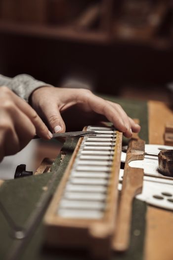 Schwarz Kärntnerland Stimmzungen